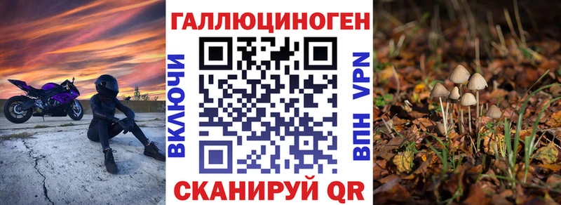 Псилоцибиновые грибы мицелий Подольск